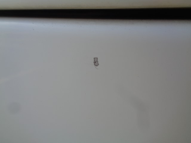 H31 日野デュトロ 2トン冷凍車